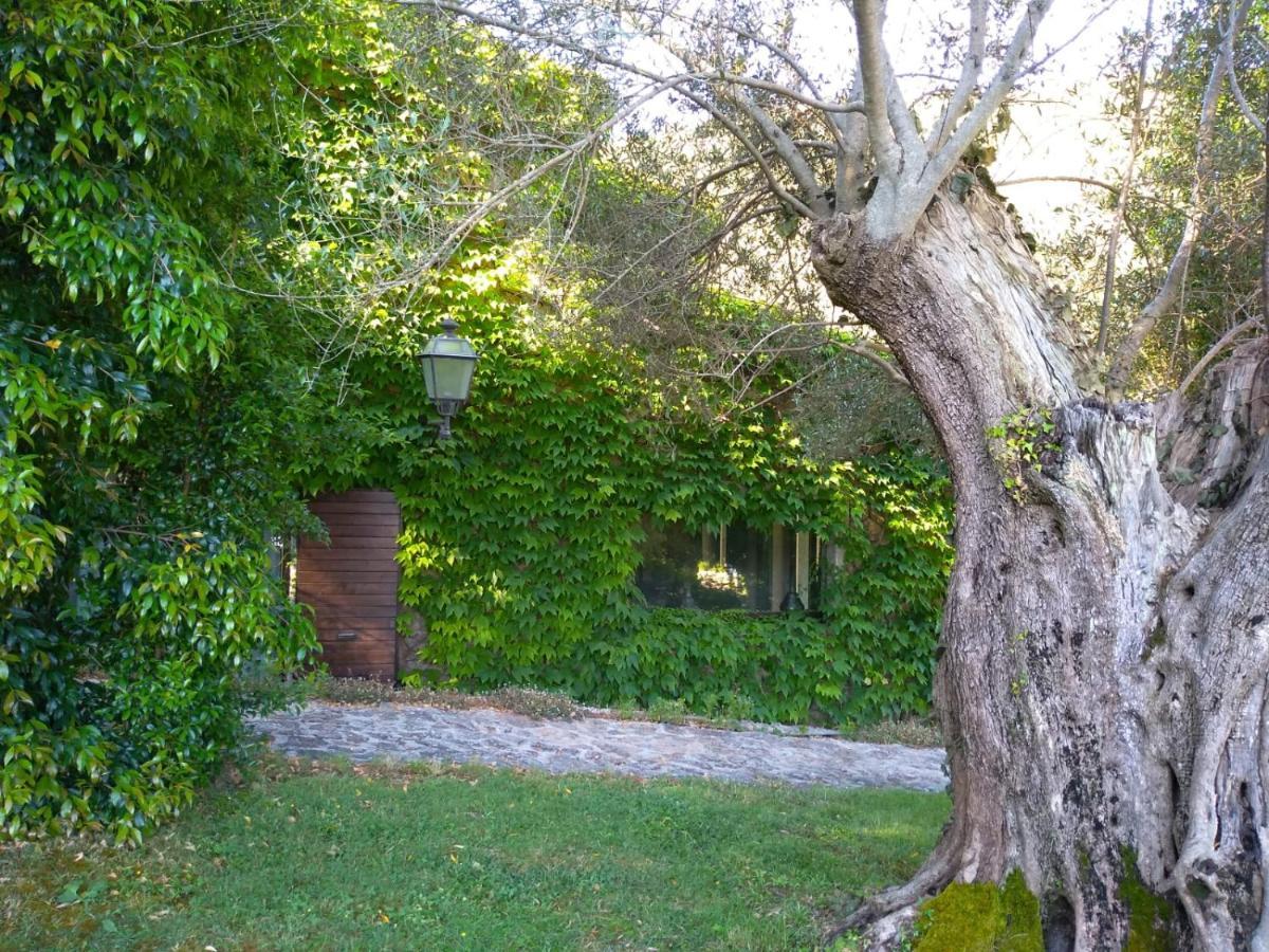 L'Agnata Di De Andre Boutique Hotel Tempio Pausania Dış mekan fotoğraf